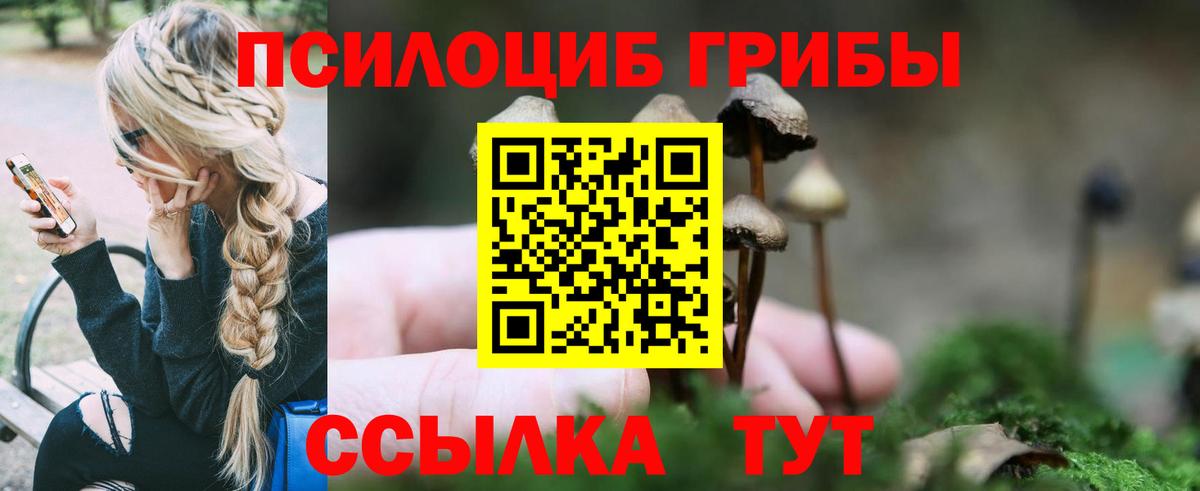 Псилоцибиновые грибы Cubensis  Вход с VPN  Галлюциногенные грибы MAGIC MUSHROOMS  как найти закладки  Нефтекамск 